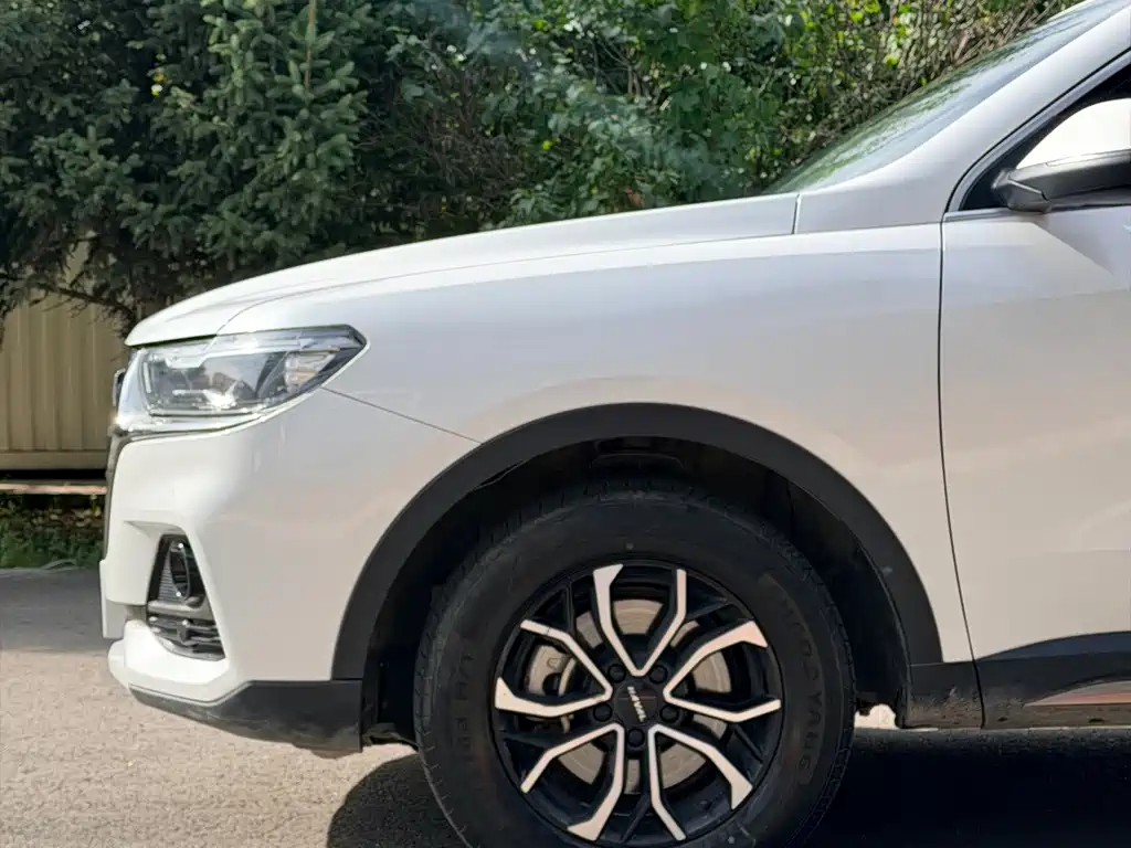 Haval H6 — миниатюра 8