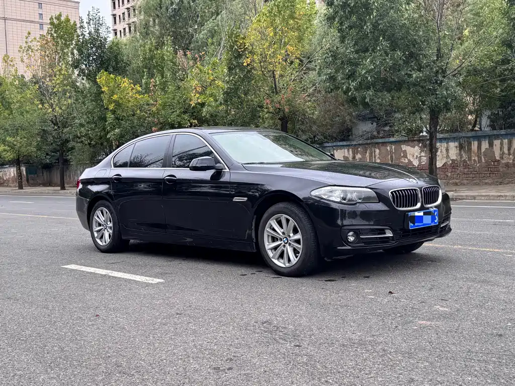 BMW 5 Series — миниатюра 3