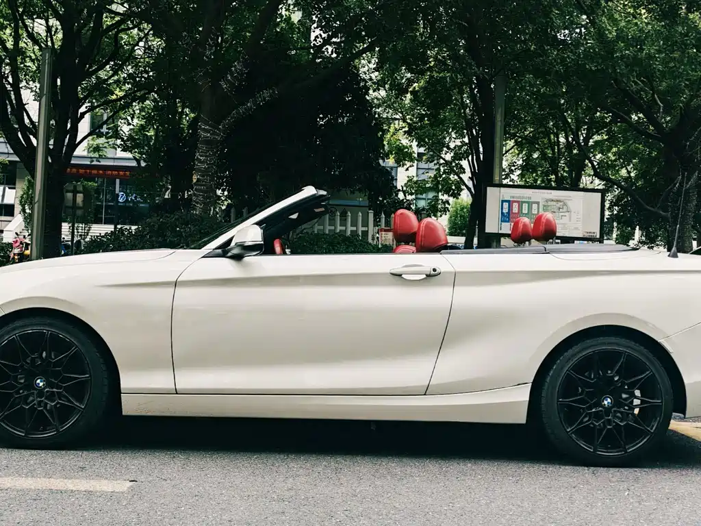 BMW 2 Series (Import) — миниатюра 7