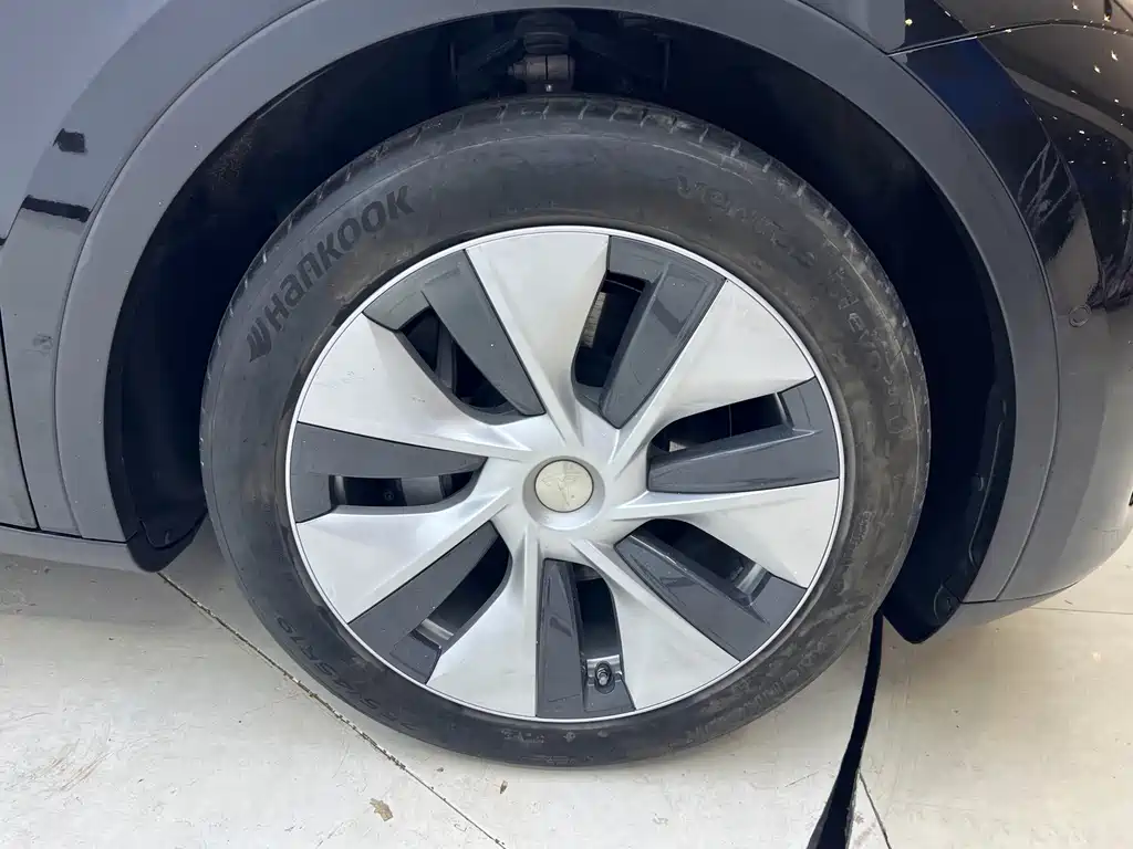 Tesla Model Y — миниатюра 13