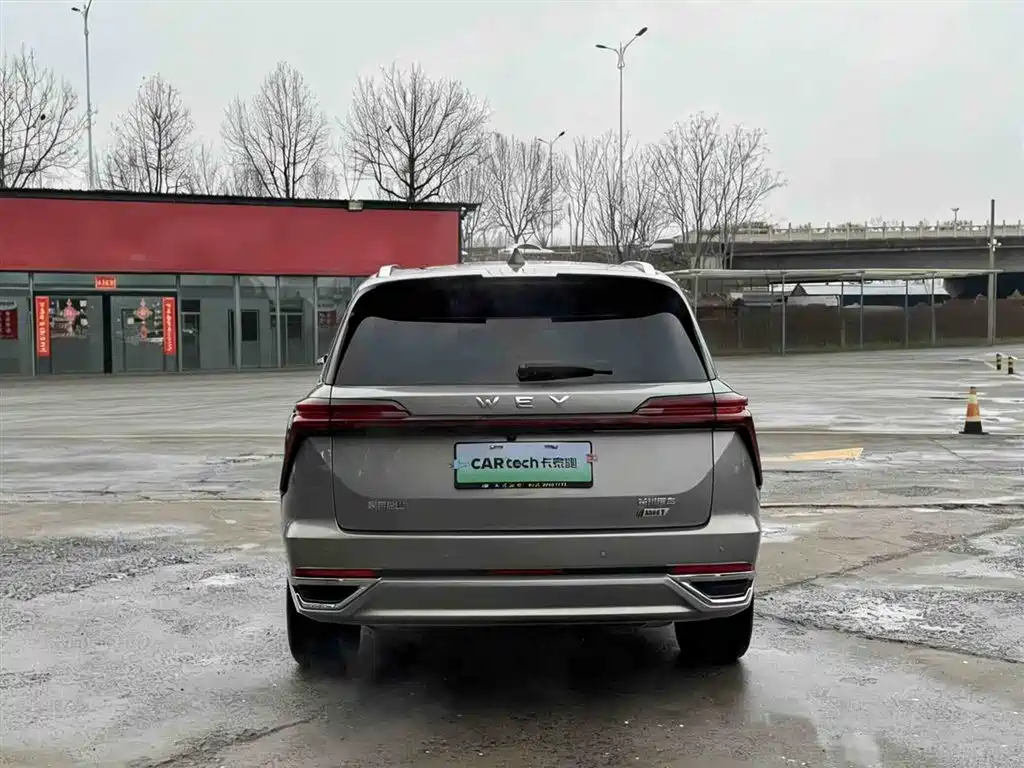 WEI PAI WEI BRAND BLUE MOUNTAIN