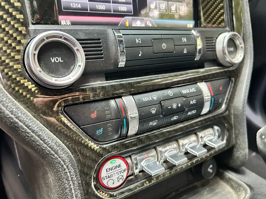 Ford Mustang — миниатюра 13