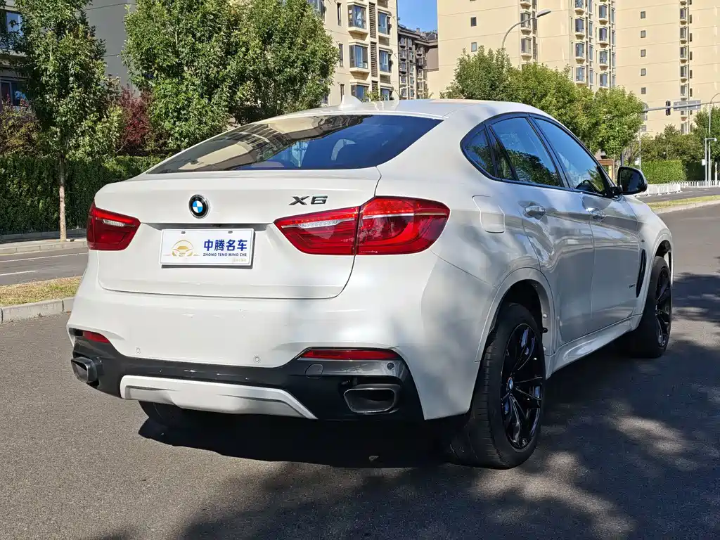 BMW X6 — миниатюра 24