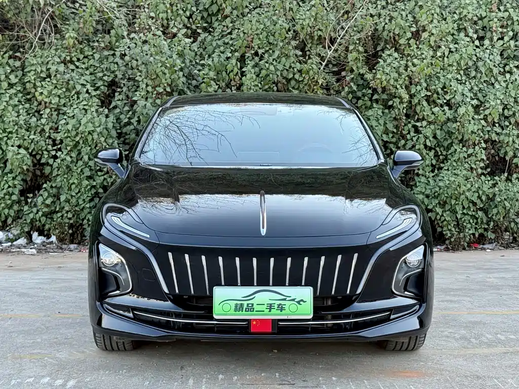 Hongqi HONGQI E QM5
