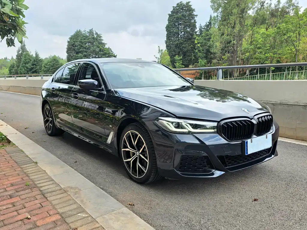 BMW 5 Series 5 2021 530Li Lead M Sport