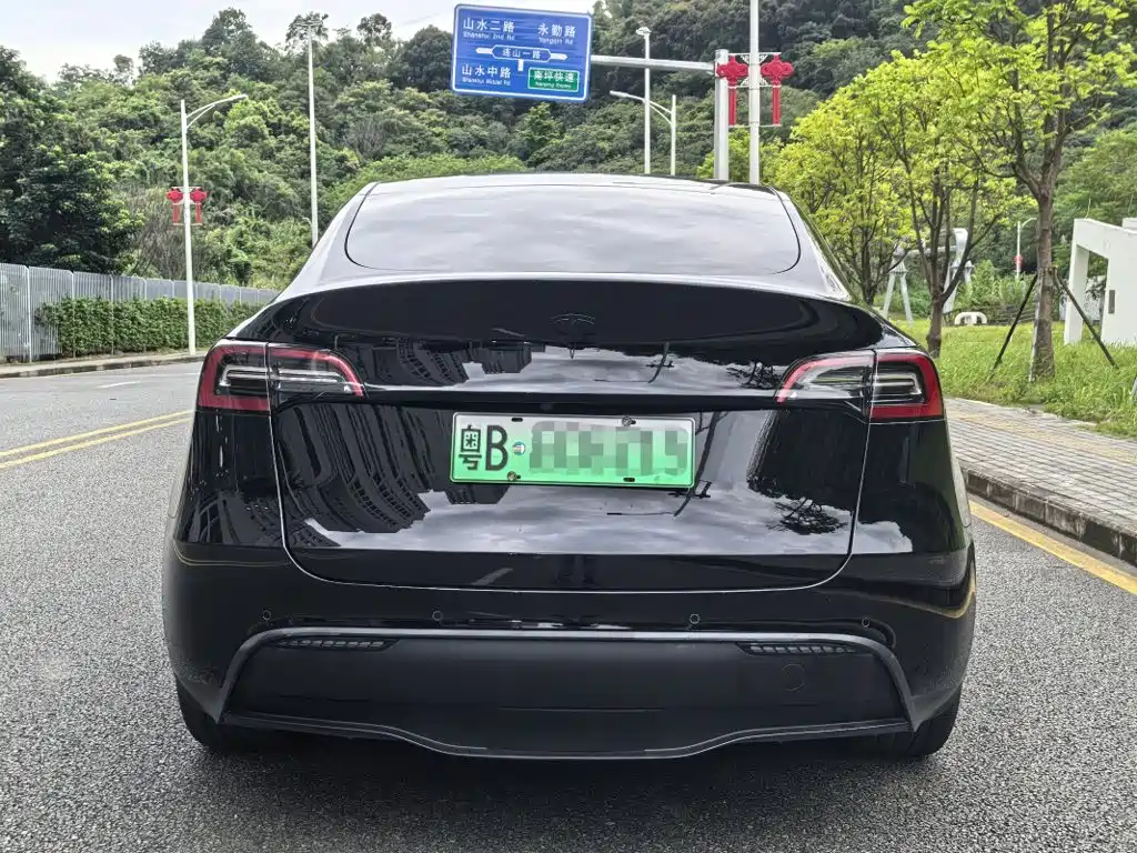 Tesla Model Y — миниатюра 4