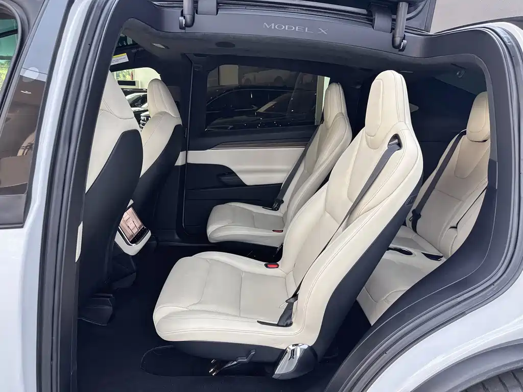 Tesla Model X — миниатюра 17