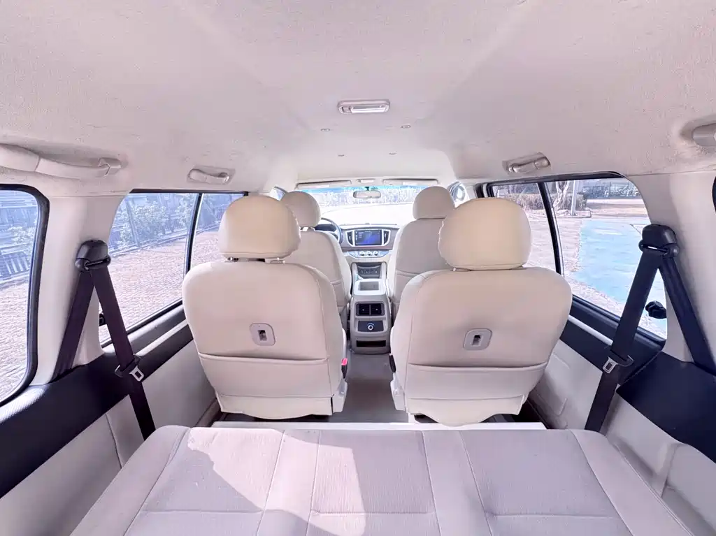 DONGFENG LINGZHI NEW ENERGY