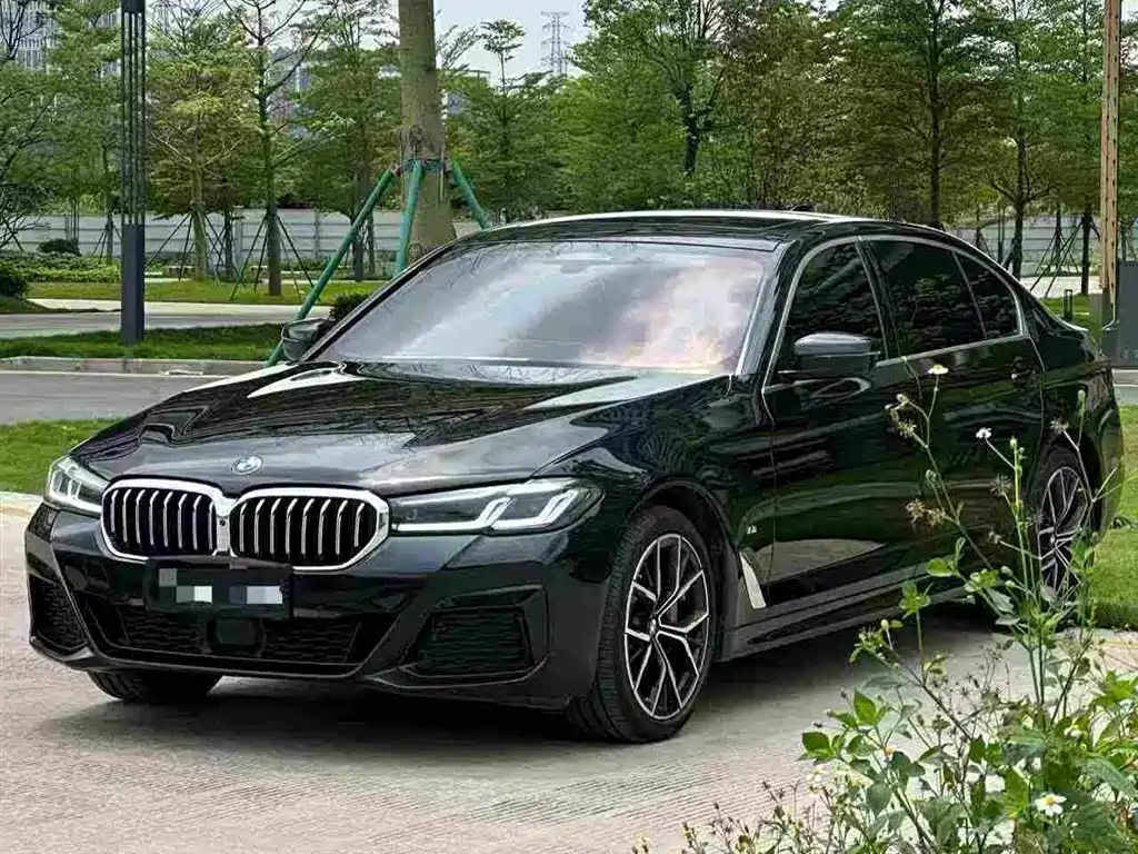 BMW 5 Series 5 2021 530Li Executive M Sport
