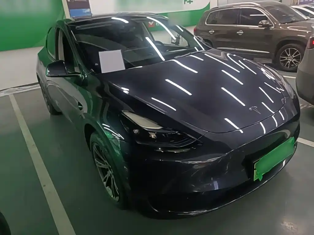 Tesla Model Y — миниатюра 4