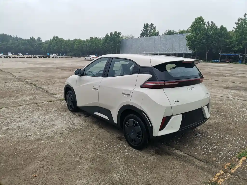 BYD Seagull 2025 305km