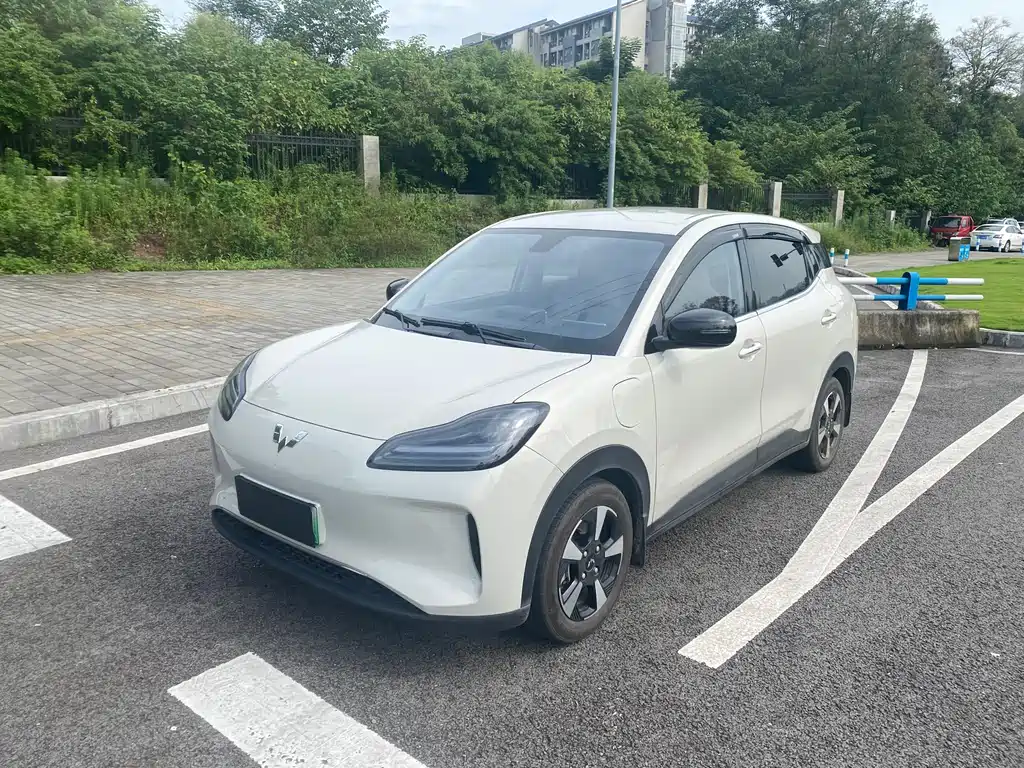 Wuling BinguoPLUS PLUS 2024 330km мест