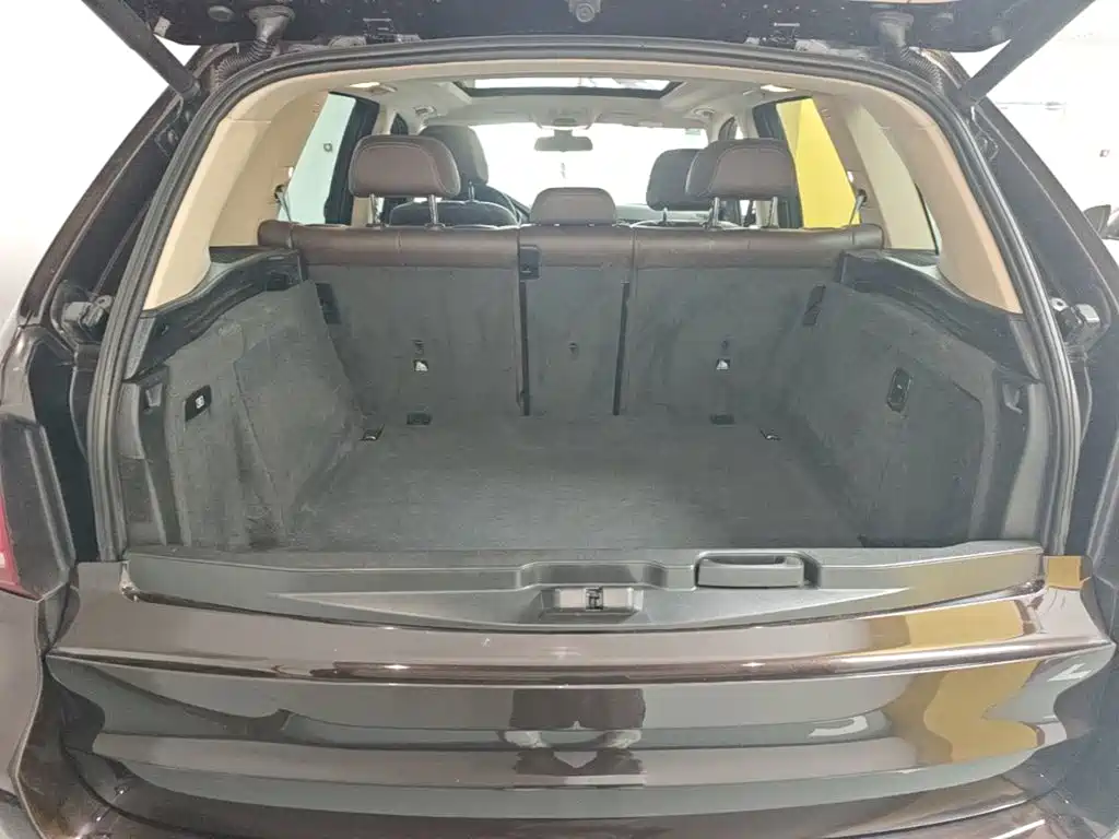 BMW X5 (Import) — миниатюра 19