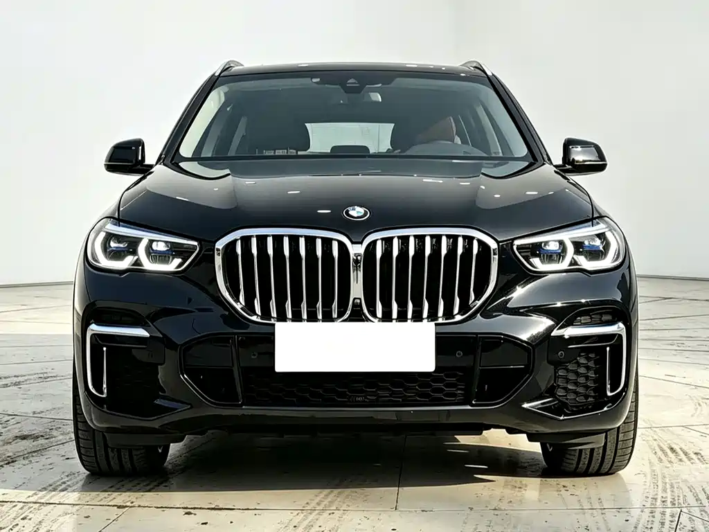 BMW X5 — миниатюра 2