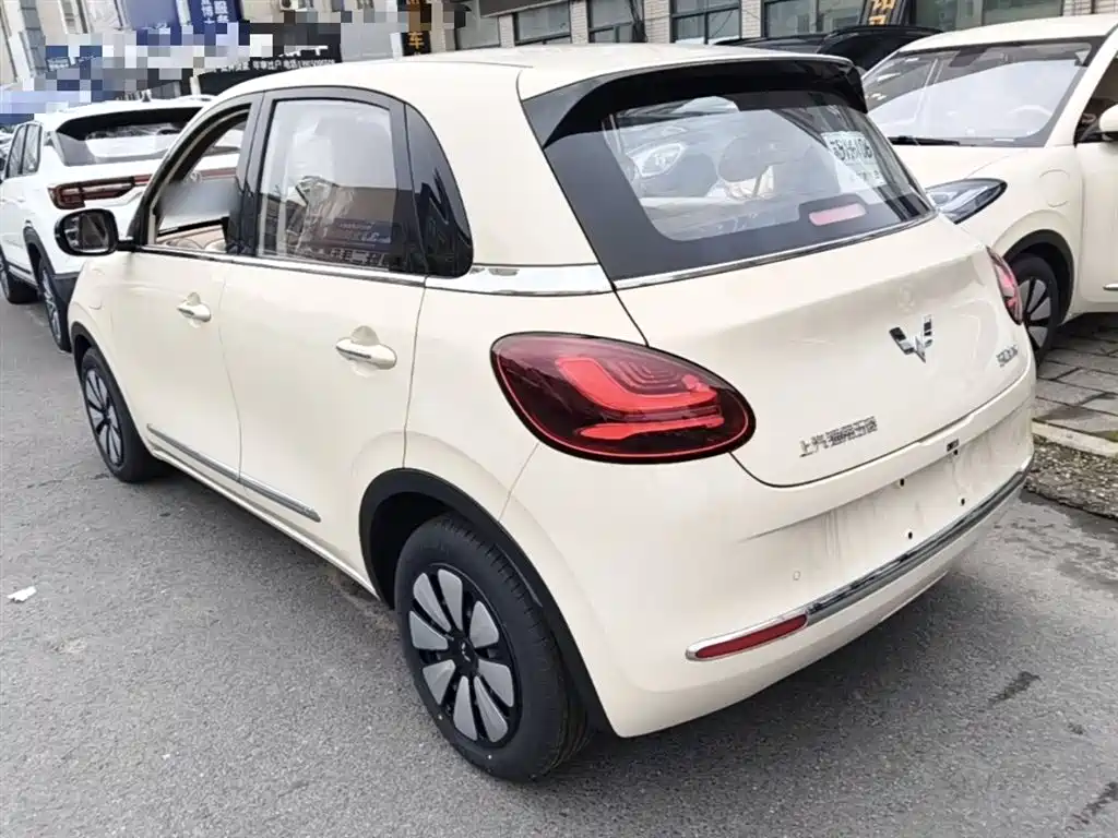 Wuling Binguo 2025 333km Enjoy