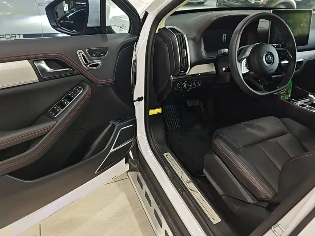BYD Tang New Energy — миниатюра 16