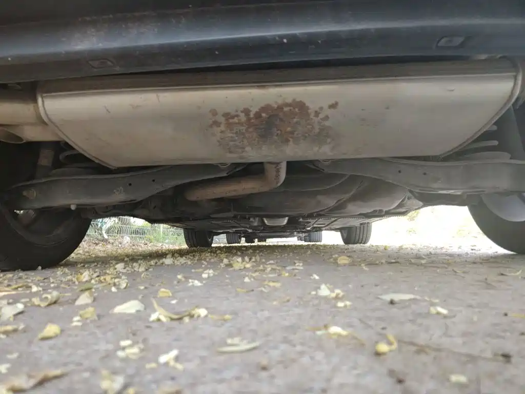 Volkswagen Golf — миниатюра 23
