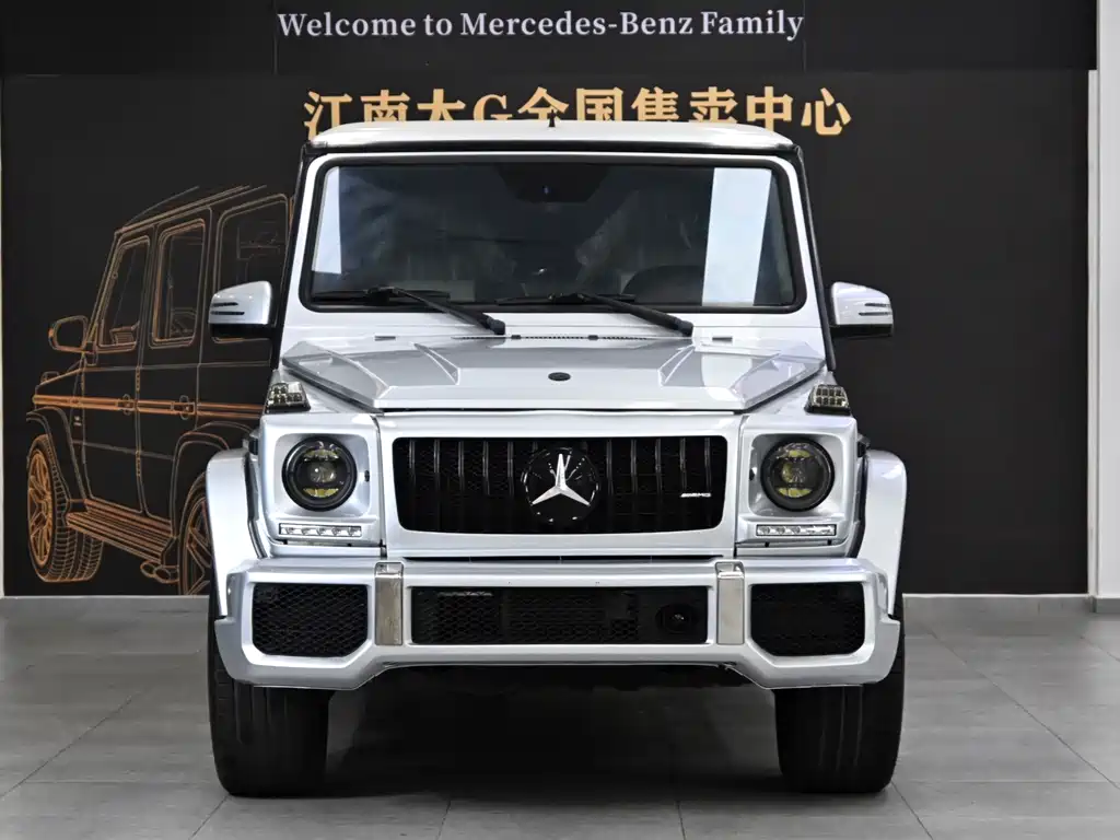 Mercedes-Benz G-Class G 2013 G 500