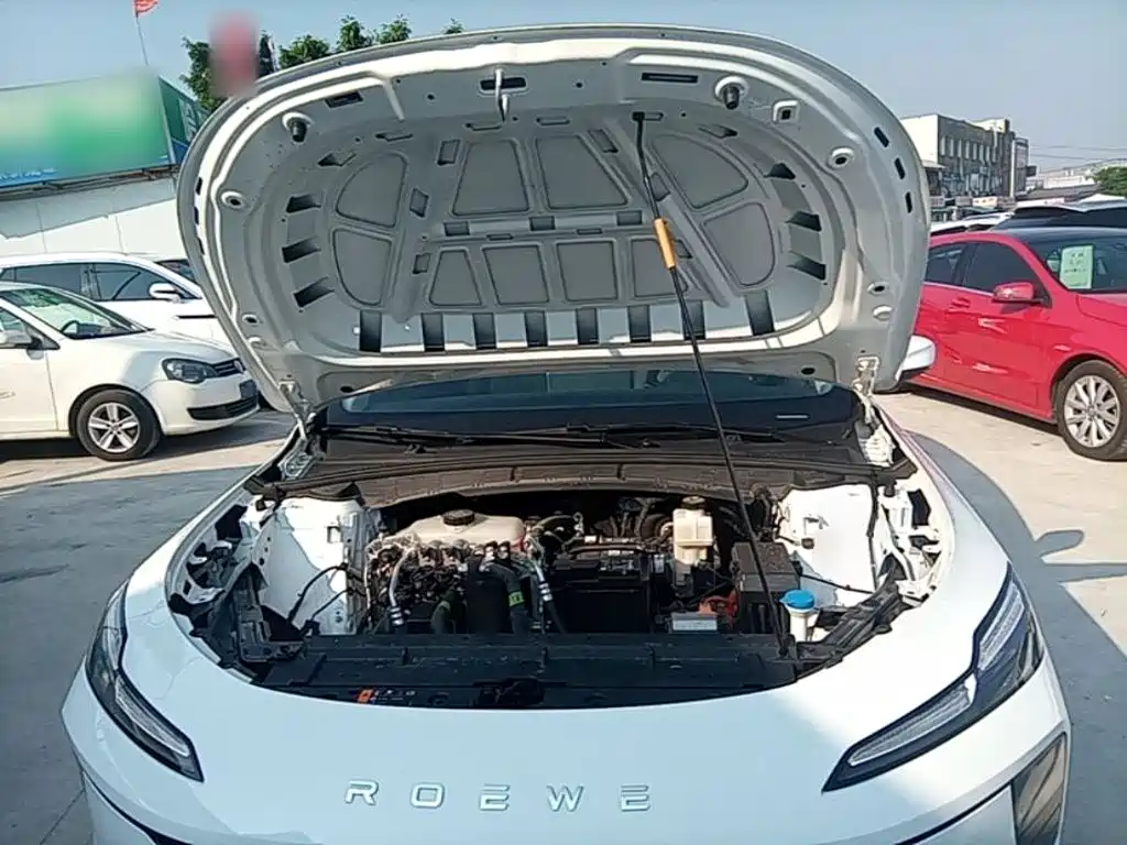 Roewe Young Wai D6 — миниатюра 20