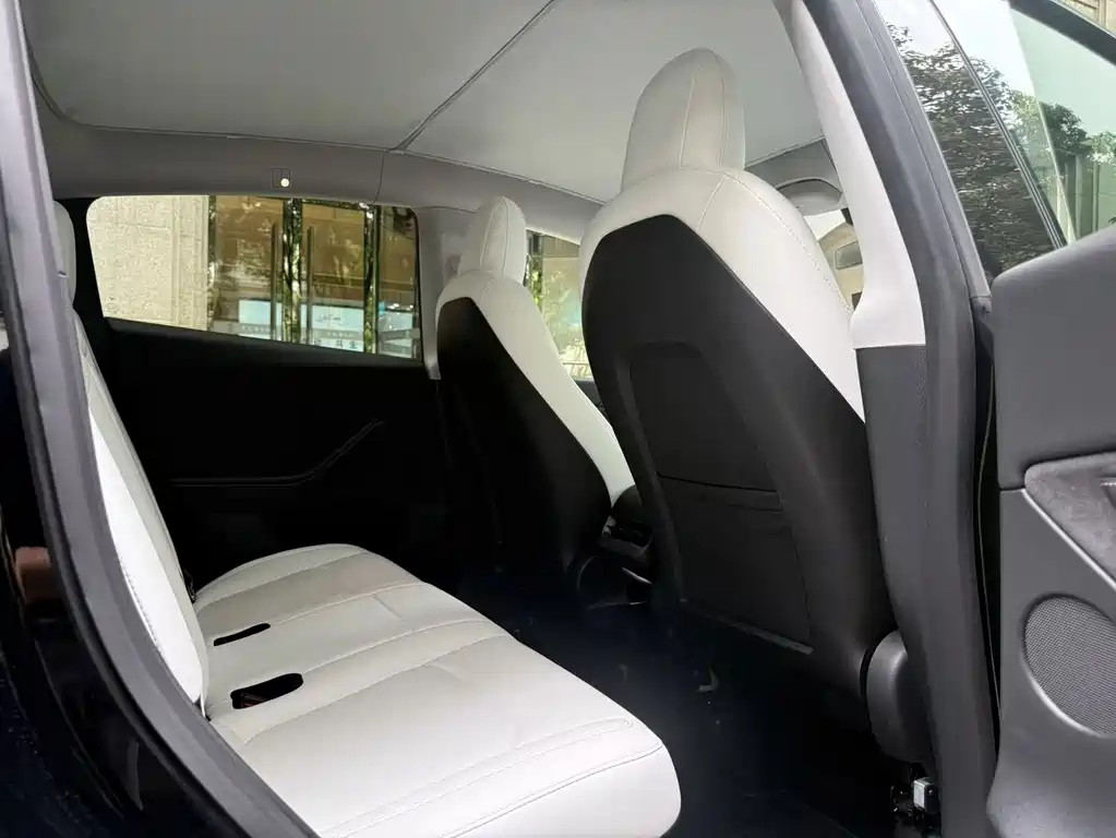 Tesla Model Y — миниатюра 11