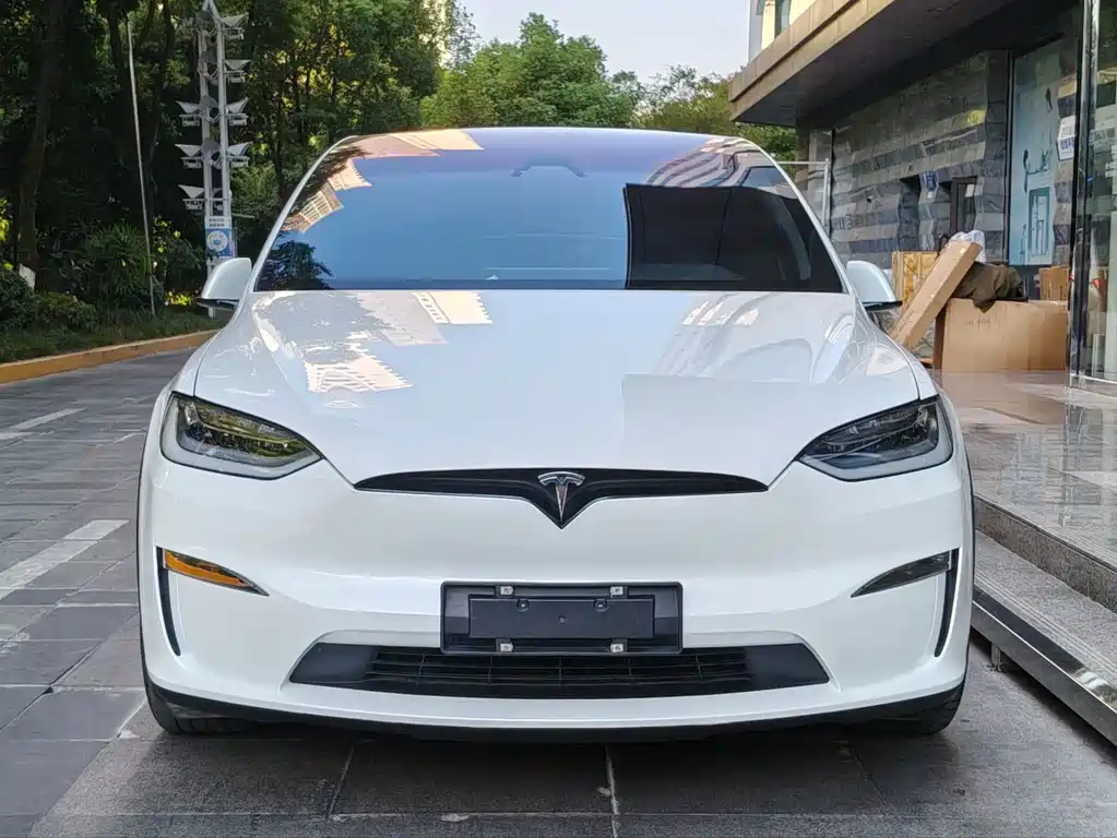 Tesla Model X — миниатюра 4