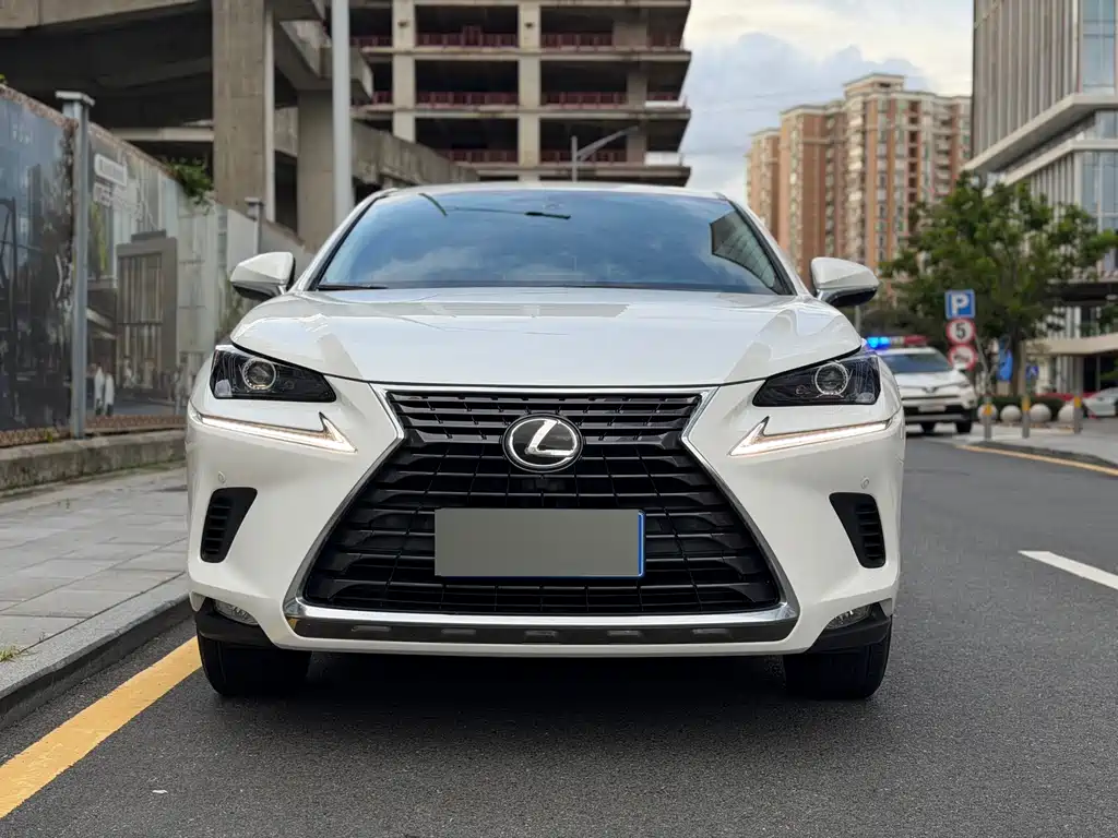 Lexus NX 2020 200 VI