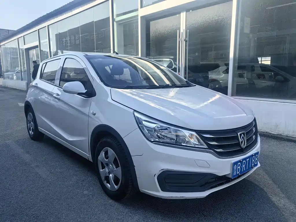 BAOJUN 310