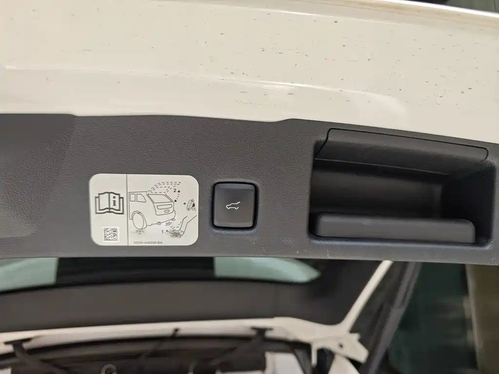 Ford Escape EcoBoost 245 4WD Vertical Enjoy ST-LINE, фото 8