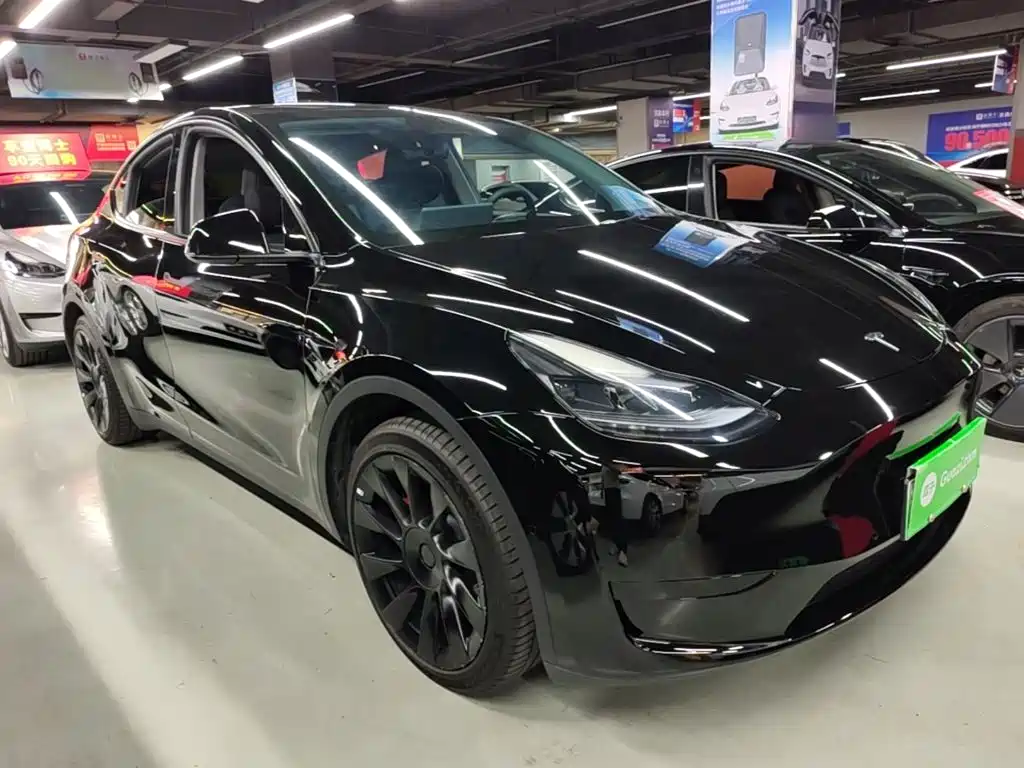 Tesla Model Y — миниатюра 4