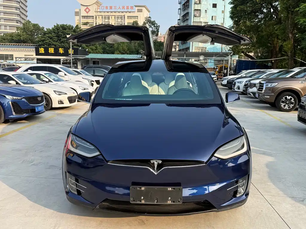 Tesla Model X — миниатюра 2