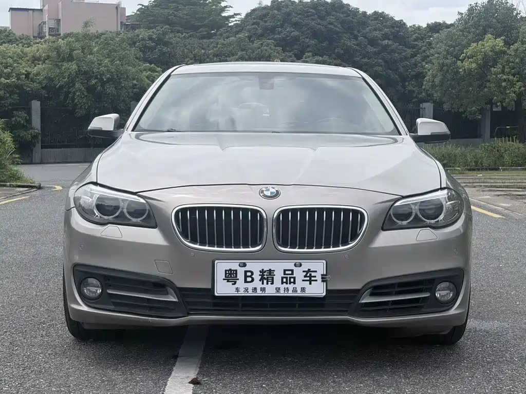 BMW 5 Series — миниатюра 2