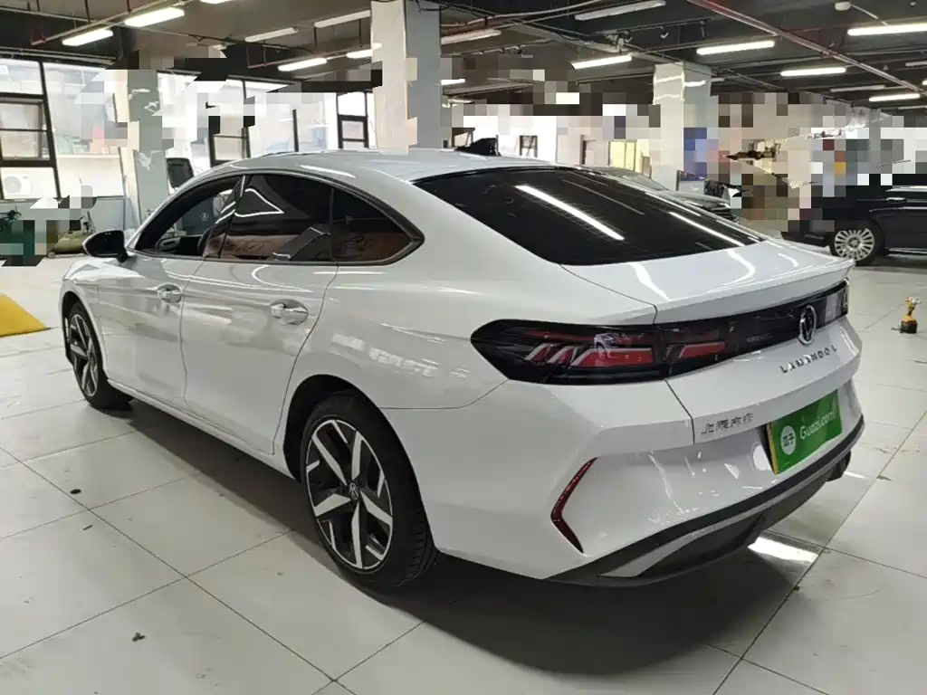 Volkswagen Lamando — миниатюра 5