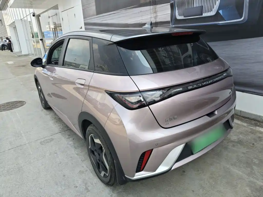BYD Dolphin — миниатюра 5