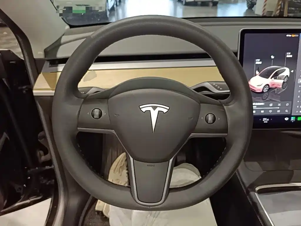 Tesla Model Y — миниатюра 11