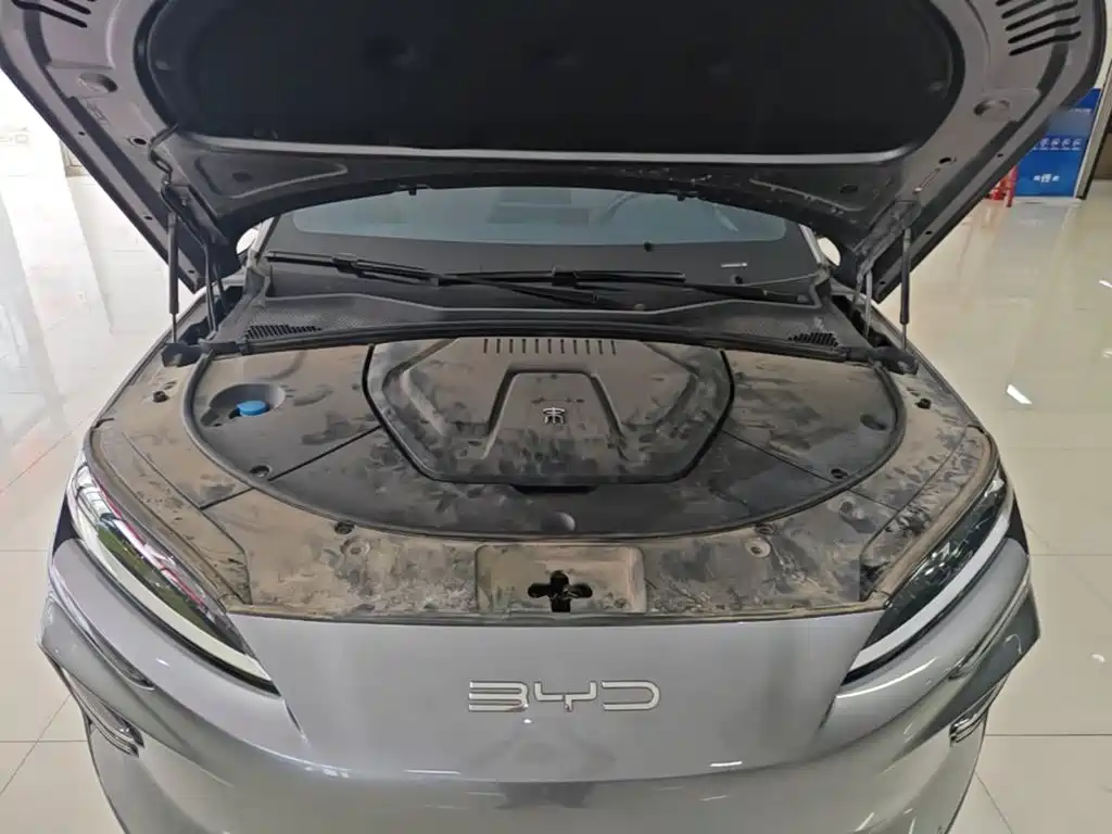 BYD PLUS New Energy — миниатюра 20