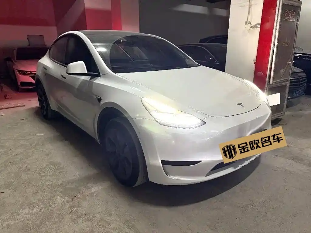 Tesla Model Y — миниатюра 3