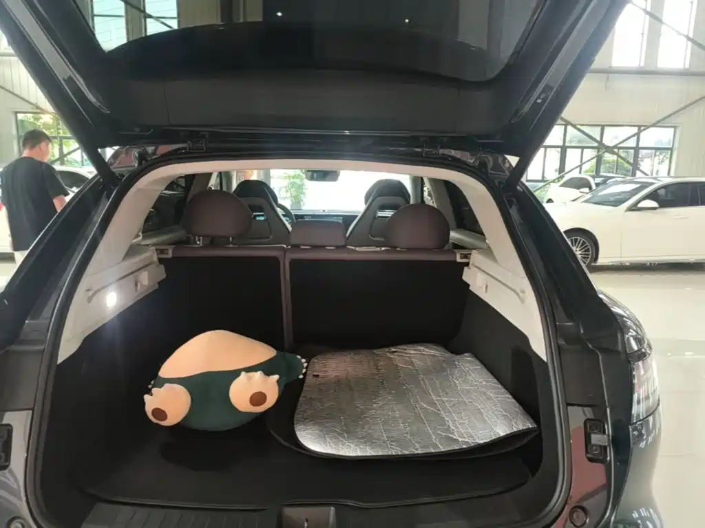 Leapmotor Leapmotor C11 — миниатюра 19