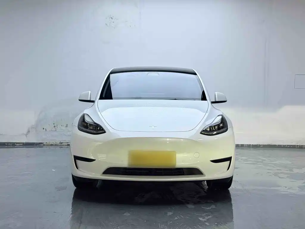 Tesla Model Y — миниатюра 3