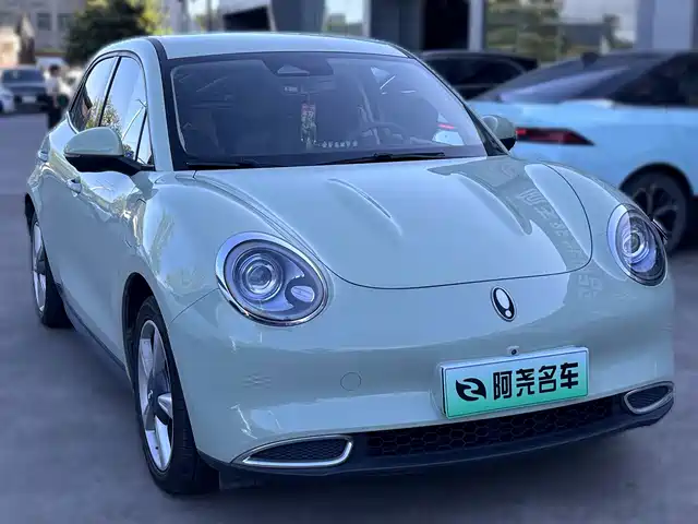 EULER  GOOD CAT 2023