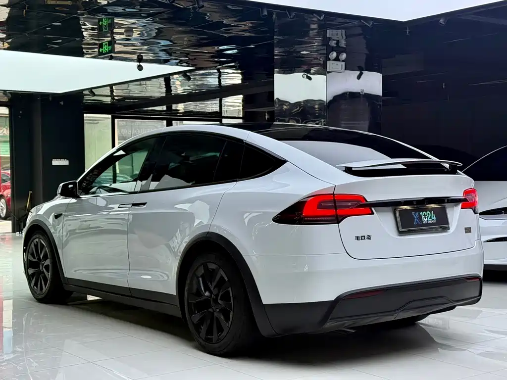Tesla Model X — миниатюра 17