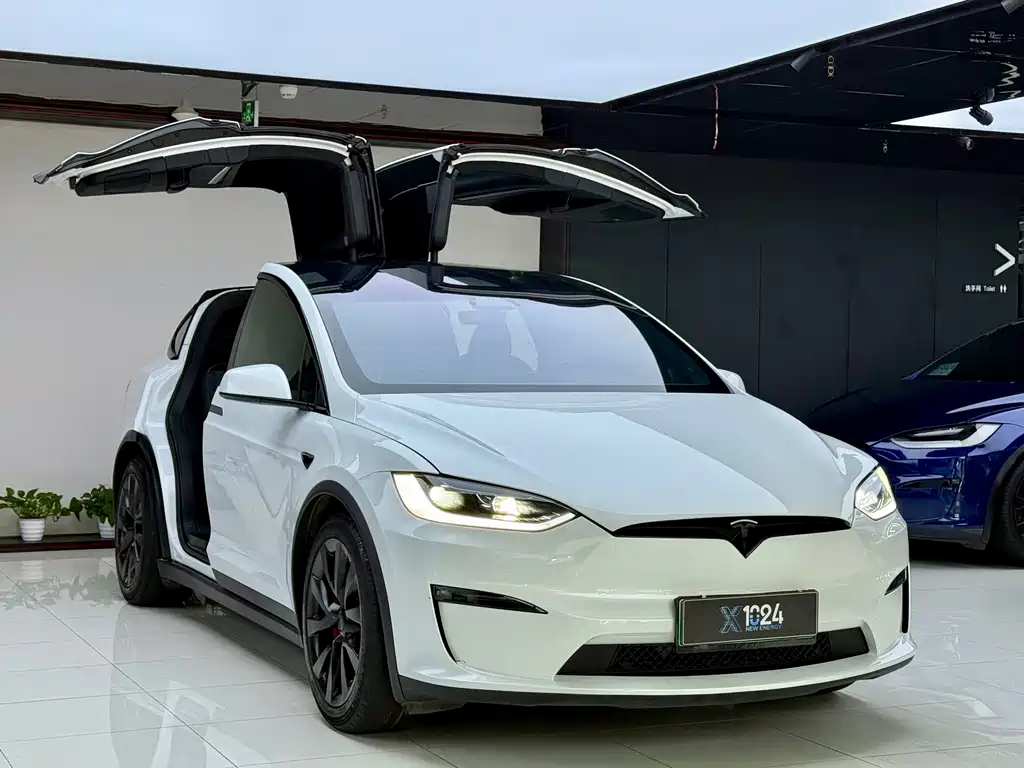 Tesla Model X — миниатюра 3