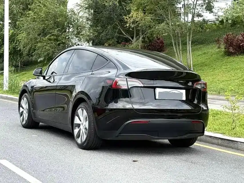 Tesla Model Y — миниатюра 6