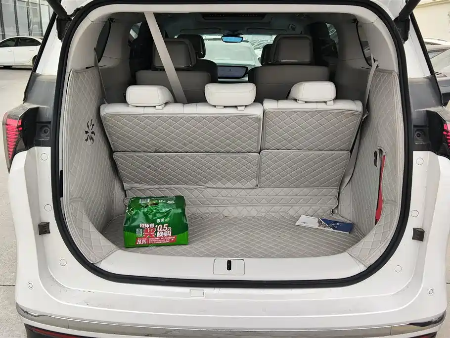 BUICK GL8 NEW ENERGY