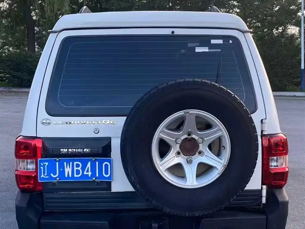 CHEETAH CARS CHEETAH Q6