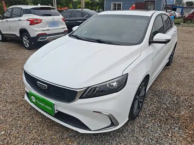 2021 Geely Binrui