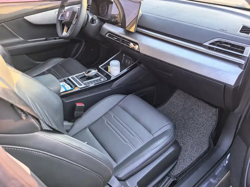 BYD Qin NEV 2019 Luxury