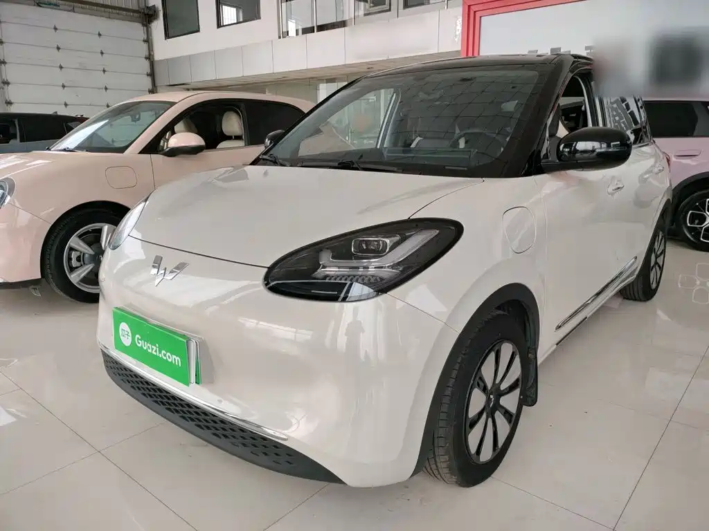 Wuling Binguo 2023 333km Enjoy