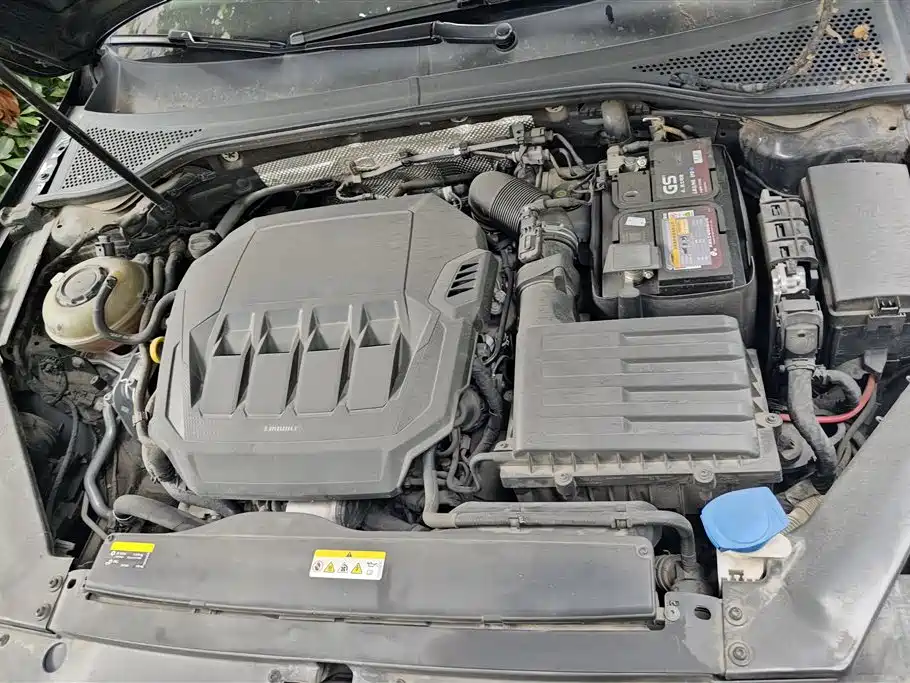 Volkswagen Magotan 2020 330TSI DSG Lead