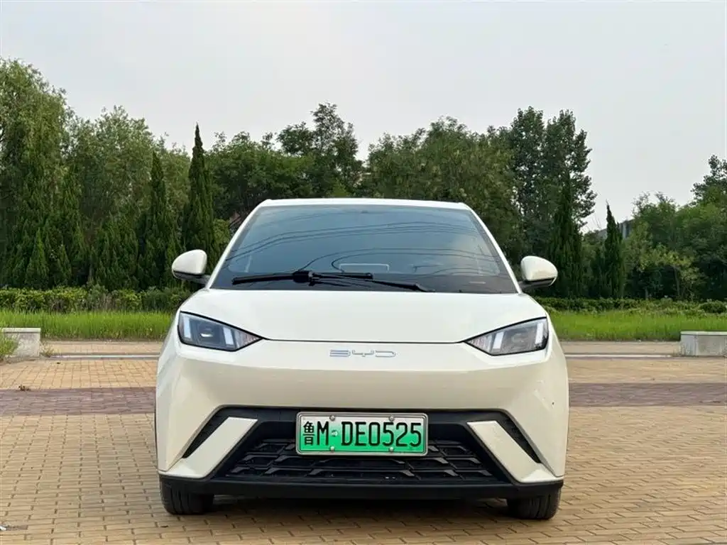 BYD Seagull