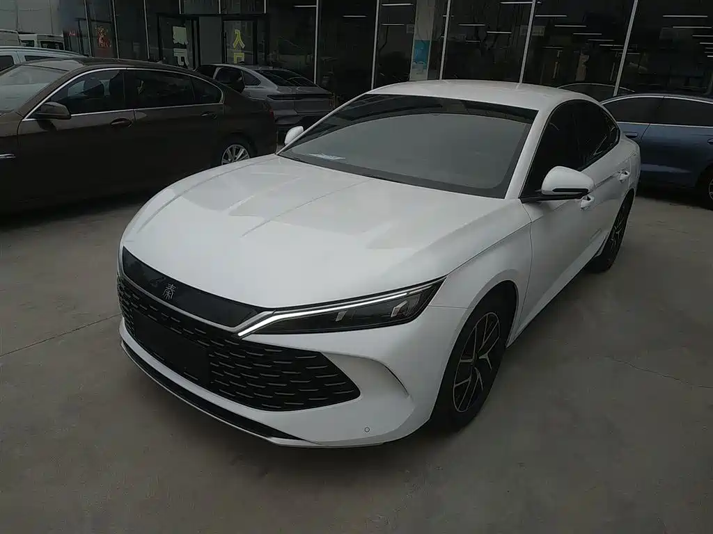 Byd Qin L 2024